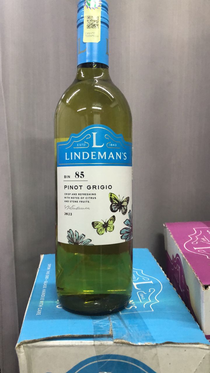 WhatsApp Image 2026-02-27 at 15.19.17